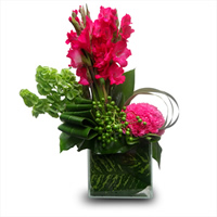 Amore Diverso - Regalar Rosas, Regalar tulipanes, regalar flores,regalar arreglos florales, regalar regalos